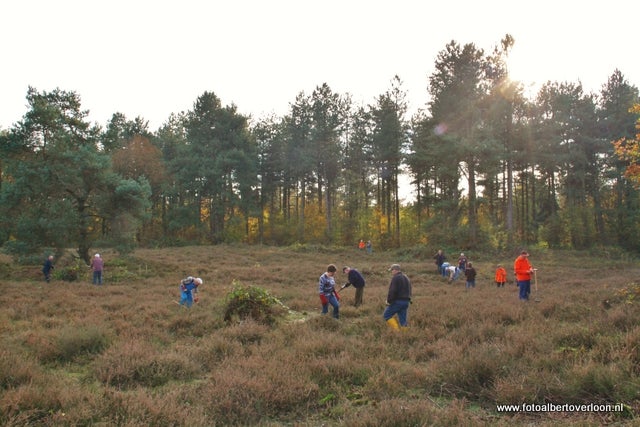 Natuurwerkdag in overloon 05-11-2011 (45).JPG