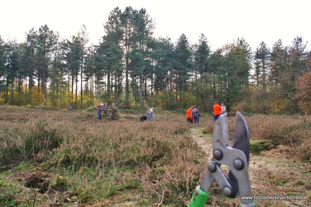 Natuurwerkdag in overloon 05-11-2011 (46).JPG