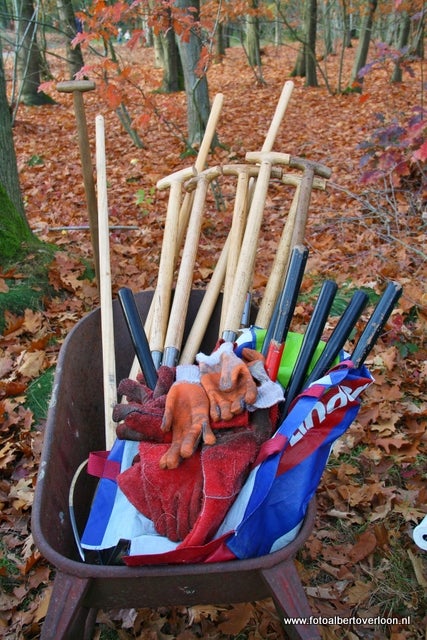 Natuurwerkdag in overloon 05-11-2011 (50).JPG