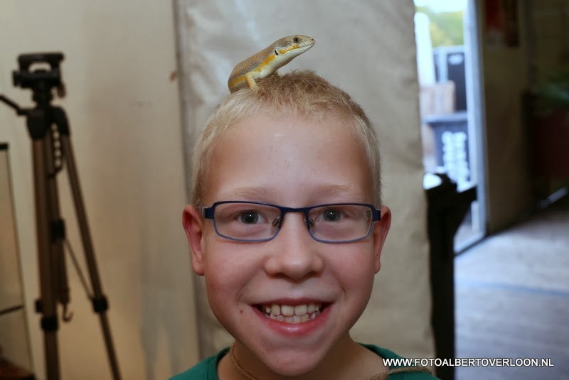 Tentfeest Voor Kids overloon 20-10-2013 (156).JPG