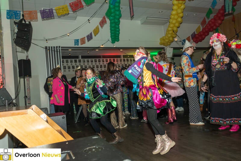 jeugdcarnaval-de-huibuuke-viert-66-jarig-jubileum-08-02-2025-146-standard.jpg