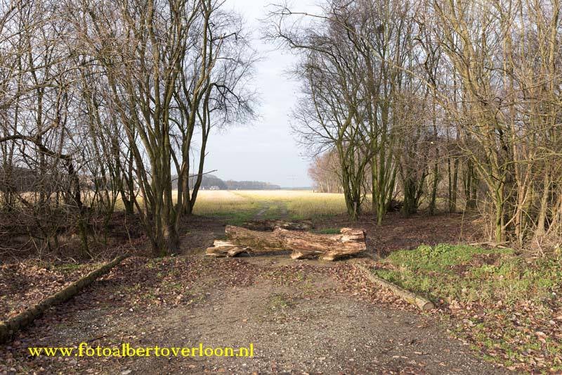 kapendempingsloottoegangspoortbijSchaartven16-12-20163.jpg
