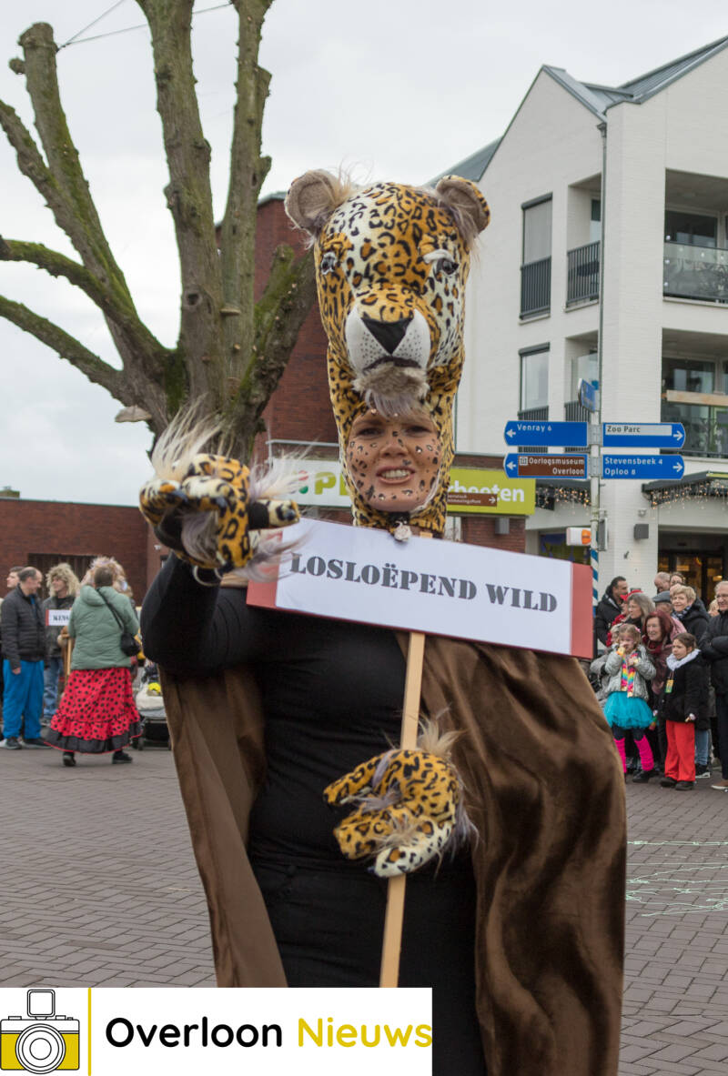kleurrijke-carnavalsoptocht-brengt-vreugde-en-gezelligheid-11-02-2024--58.jpg
