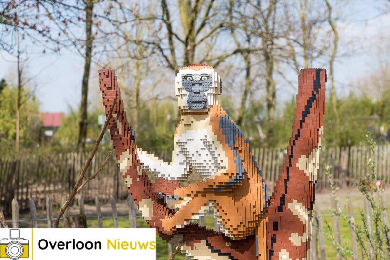 legovariantentebewondereninzooparcoverloon09-04-2023-69.jpg