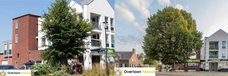 lindeboom-standard-dj840t.jpg