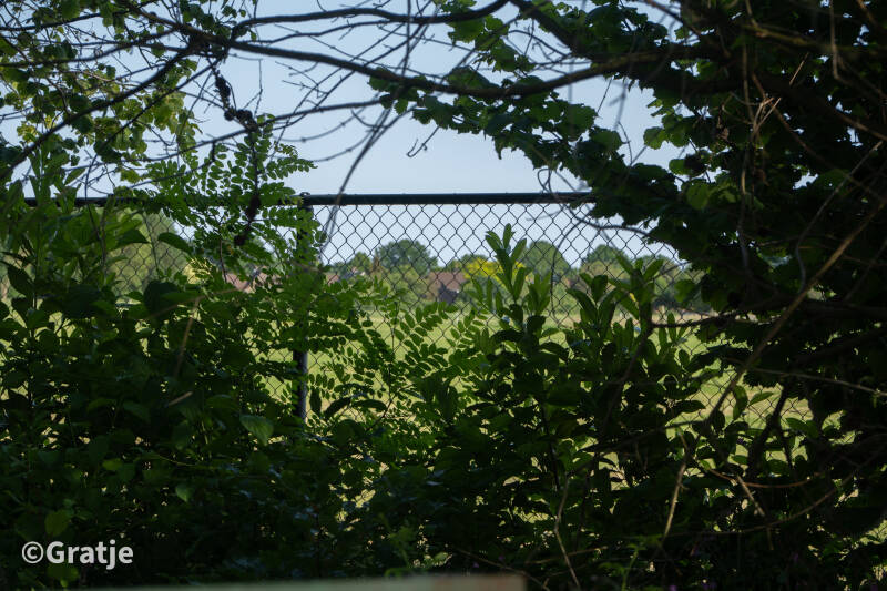 lonse-4-daagse-dag-2-44-standard.jpg