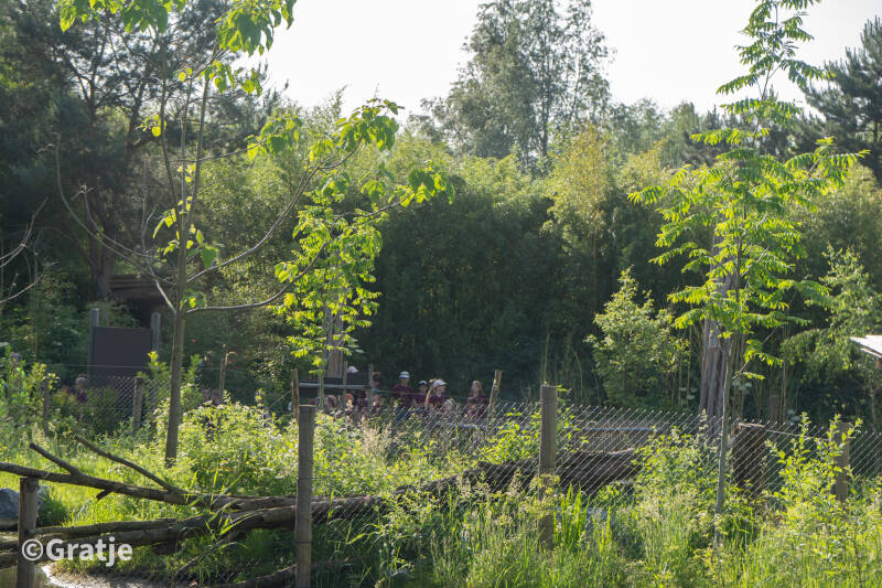 lonse-4-daagse-dag-2-48-standard.jpg