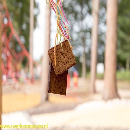 Burendag-Speeltuin-gewoon-Buiten---12.jpg