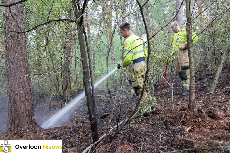 nacontrole-bosbrand-overloon-brandweer-dooft-resten-03-05-2026-0a-4-standard.jpg