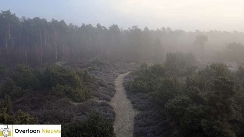 ochtendmist-zorgt-voor-betoverend-landschap-in-overloonsche-duinen-20-12-2025-14-standard.png