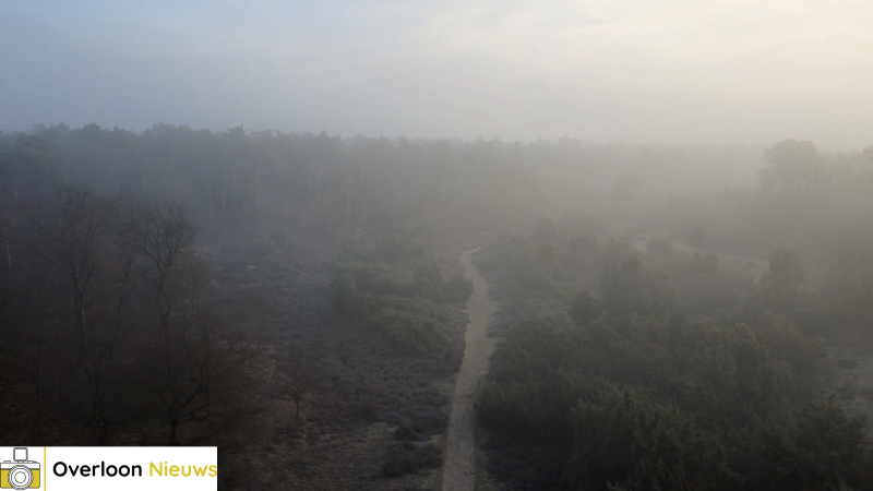 ochtendmist-zorgt-voor-betoverend-landschap-in-overloonsche-duinen-20-12-2025-15-standard.png