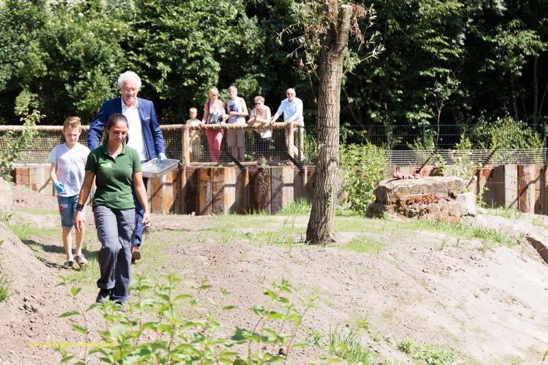 openingtijgerverblijfZooParcOverloon17-07-201522.jpg