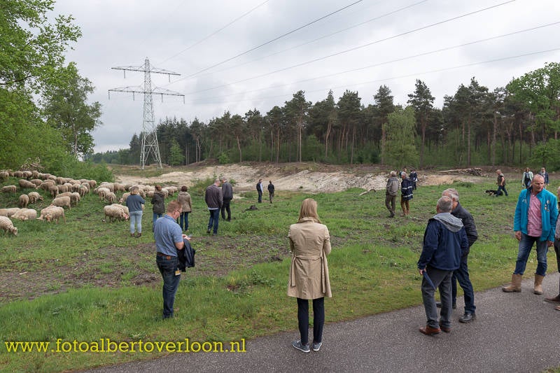opleveringHeideprojectonderHoogspanningsnetwerkvanTenneT40.jpg