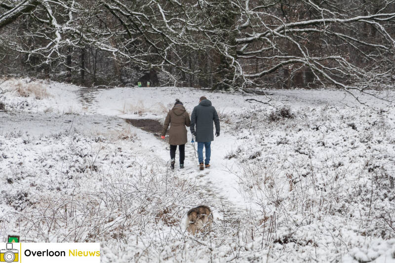 overloon-in-winterse-sferen_-sneeuw-transformeert-landschap-in-winterwonderland-09-01-2025-0a-11-standard.jpg