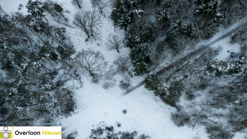 overloon-onder-een-witte-deken-eerste-sneeuw-05-01-2026-09-standard-6ifco5.jpg