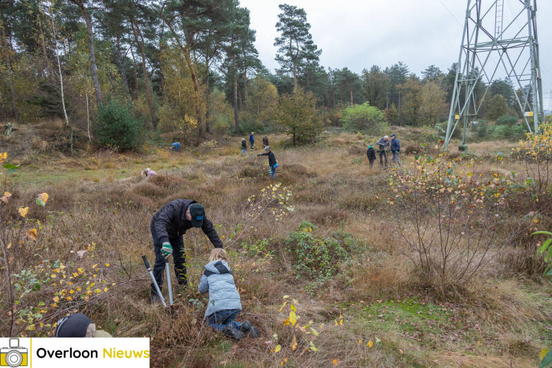 overloonse-_bosmannen_-en-scouting-handen-ineen-voor-natuurwerkdag-02-11-2024-09-standard.jpg