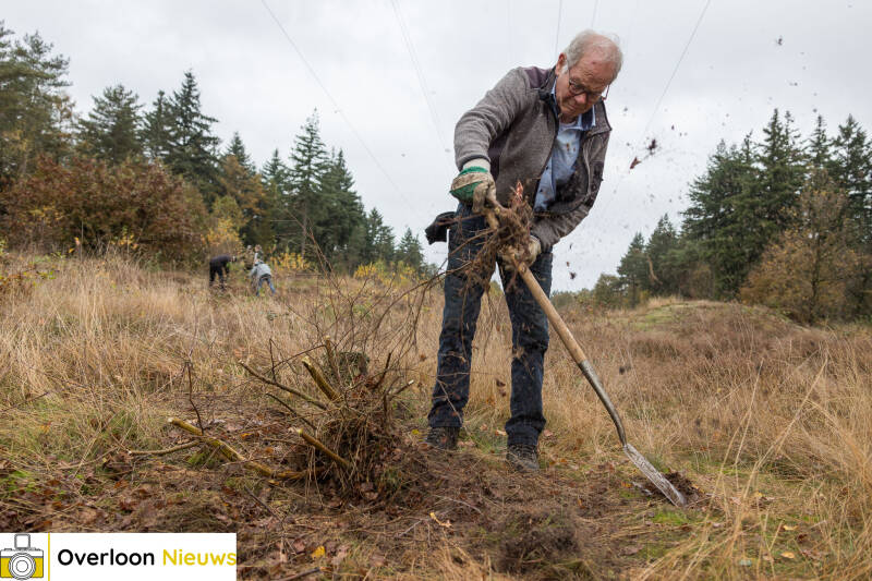 overloonse-_bosmannen_-en-scouting-handen-ineen-voor-natuurwerkdag-02-11-2024-14-standard.jpg