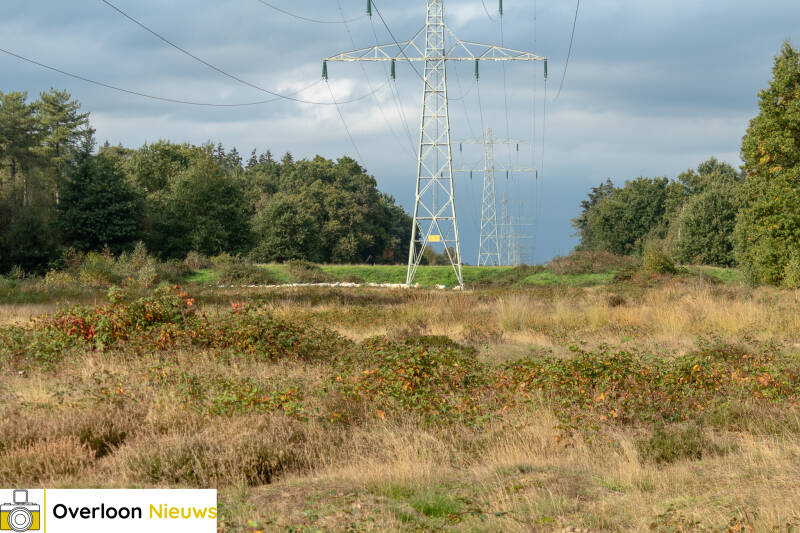 schaapskudde-houdt-overloonse-heide-in-topconditie-16-10-2026-06-standard.jpg