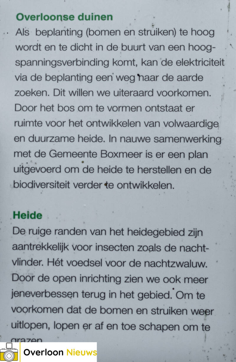 schaapskudde-houdt-overloonse-heide-in-topconditie-16-10-2026-08-standard.jpg