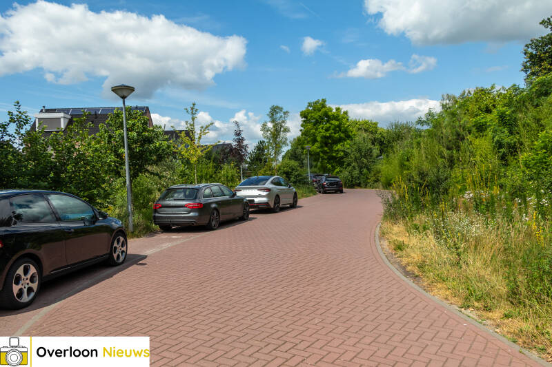 team-lokaal-trekt-aan-de-bel-over-parkeeroverlast-rond-zooparc-03-07-2026-1-standard.jpg