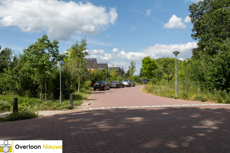 team-lokaal-trekt-aan-de-bel-over-parkeeroverlast-rond-zooparc-03-07-2026-3-standard.jpg