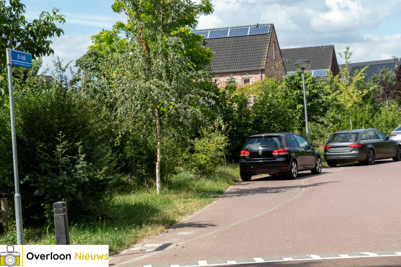 team-lokaal-trekt-aan-de-bel-over-parkeeroverlast-rond-zooparc-03-07-2026-4-standard.jpg
