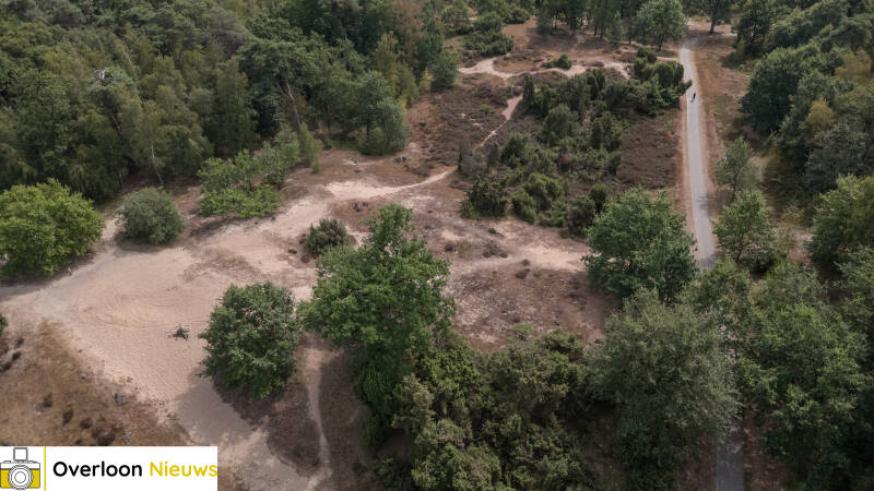 terwijl-natuurbrand-toeslaat-kleurt-de-heide-in-overloon-prachtig-paars-09-08-2026-6-standard.jpg