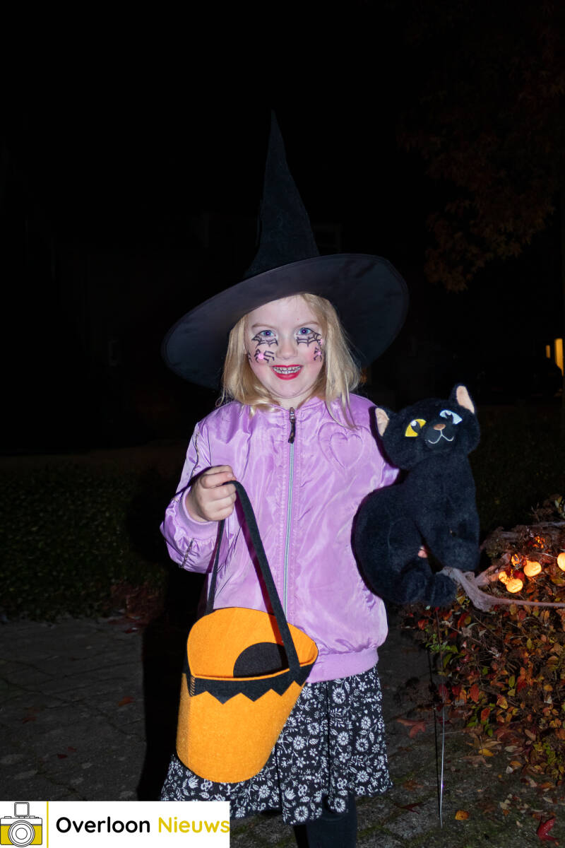 vijfde-editie-van-halloween-overloon-30-10-2026-18-standard.jpg