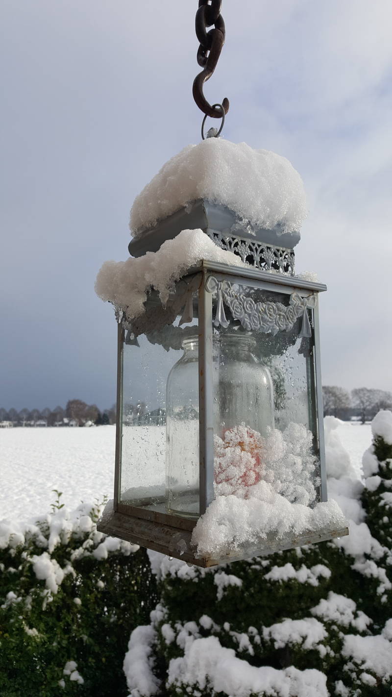 winterfoto1.jpg