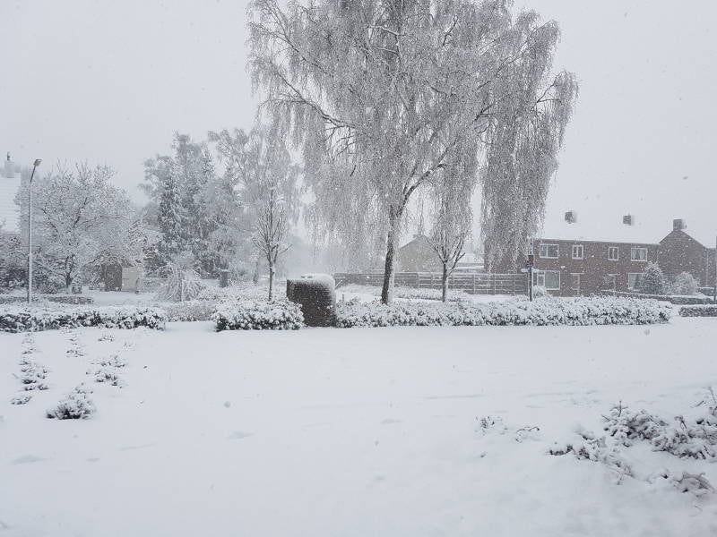 winterfoto2.jpg