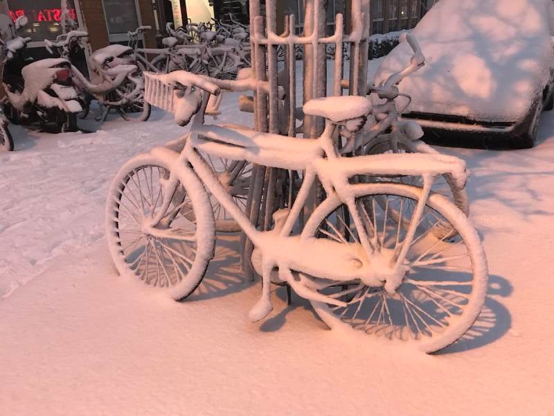 winterfoto3-1.jpg