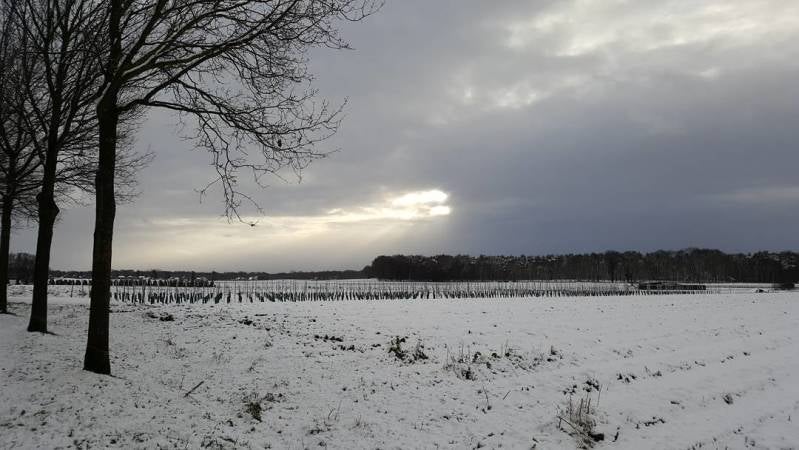 winterfoto4.jpg