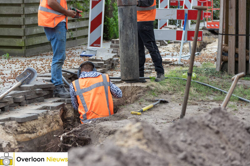 zuigwagen-ingezet-om-boomwortels-te-beschermen-tijdens-werkzaamheden-04-09-2026-05-standard.jpg