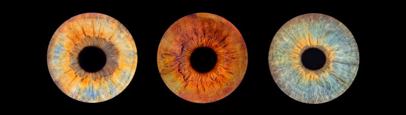 Met je hele gezin een irisfoto laten maken door Irisfotograaf Johan Bouwmans uit Zuid Oost Brabant en Noord Limburg