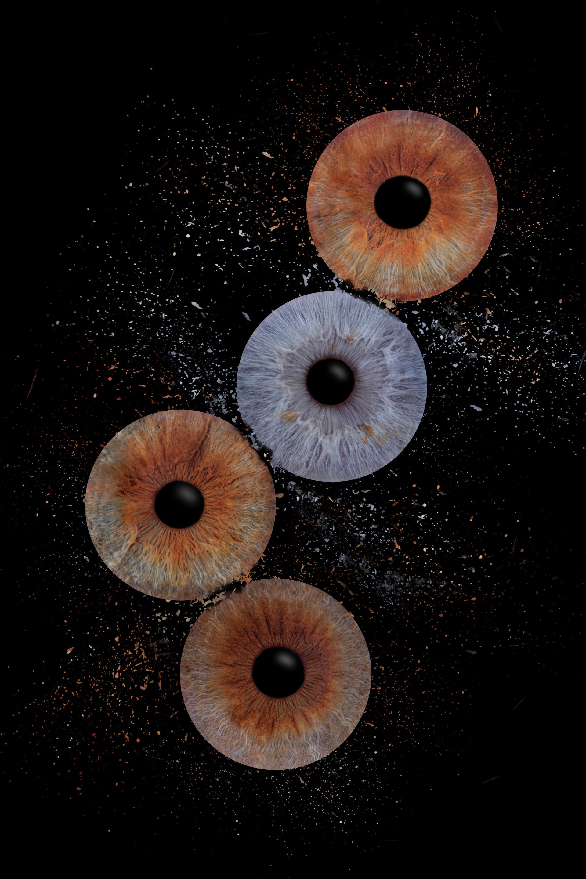 Met je hele gezin een irisfoto laten maken in Deurne, professioneel nabewerkt.