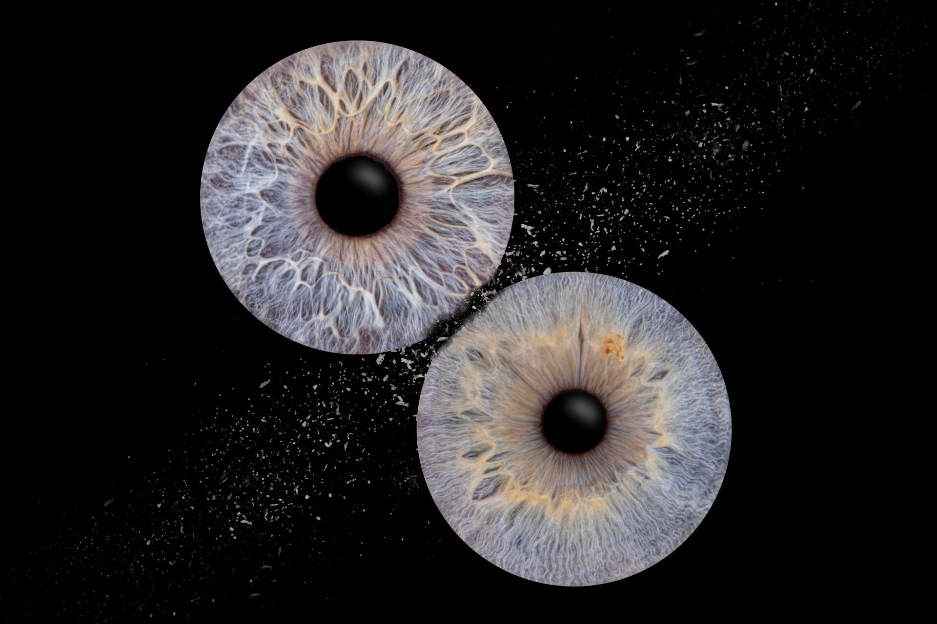 Deze irisfoto is gemaakt in een fotostudio in Deurne. De foto is in photoshop nabewerkt en heeft een bubbles effect gekregen