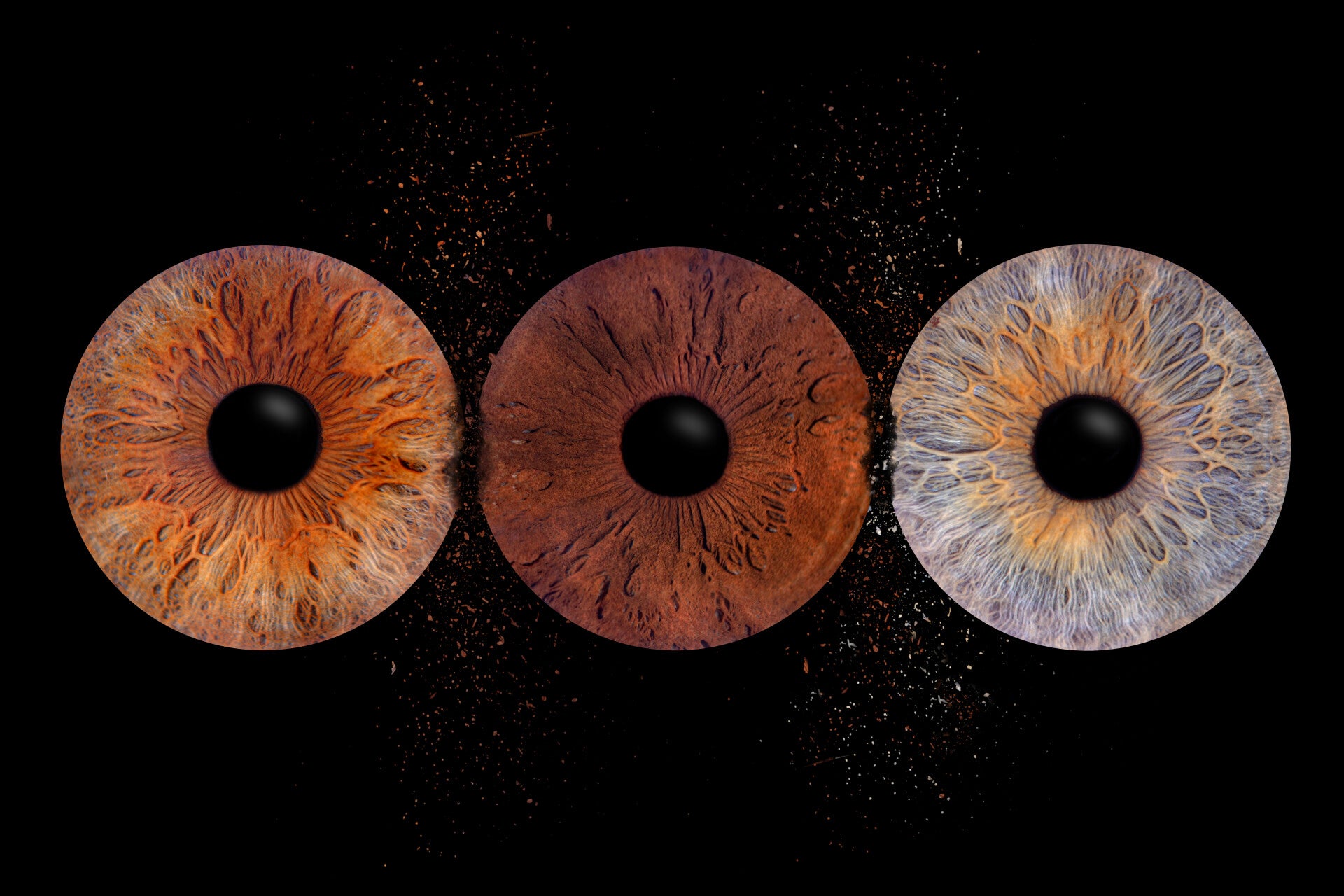 Irisfotografie Brabant Door Johan Bouwmans