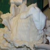 DSC_5571.jpg