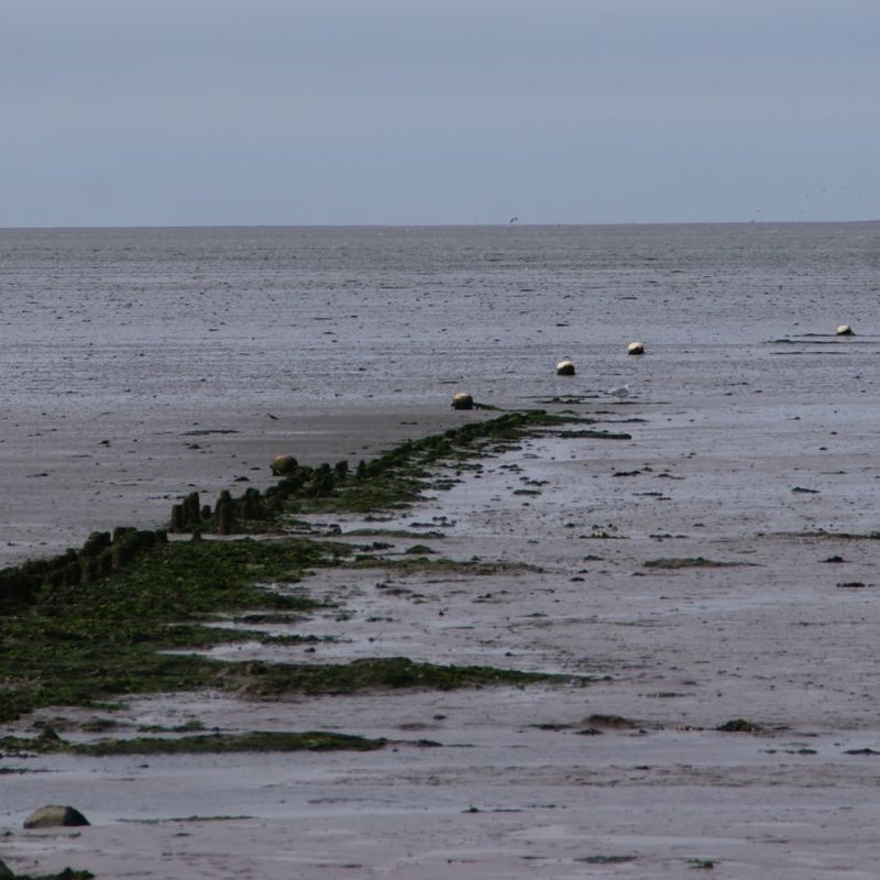 DSC09959.jpg