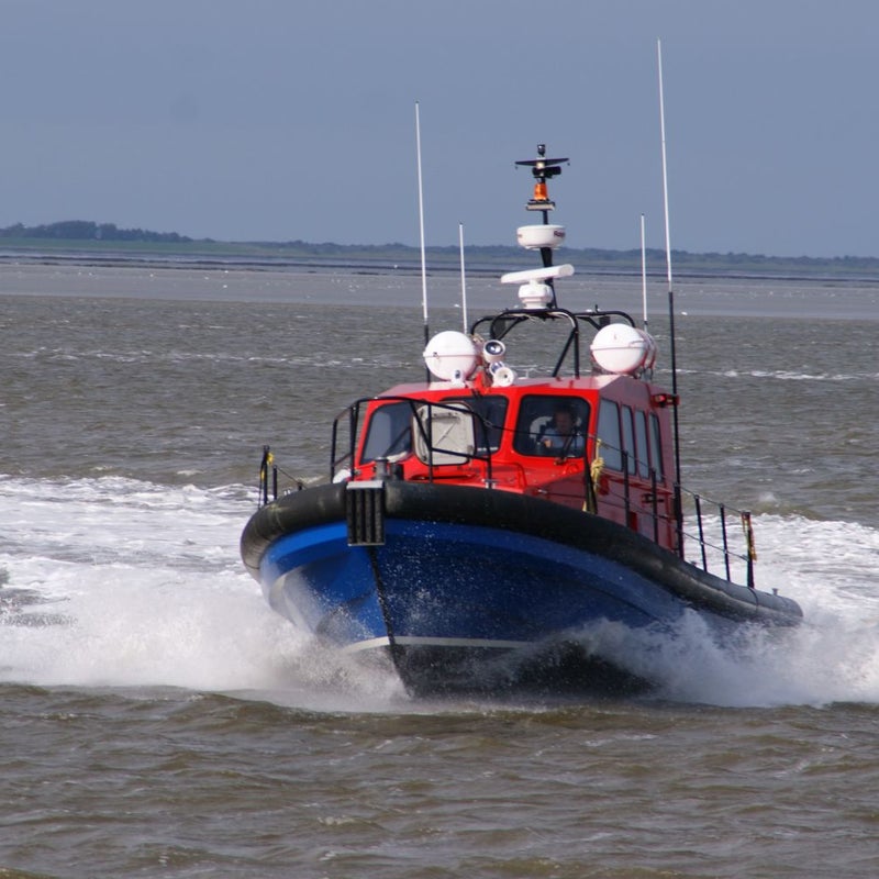 DSC09952-1.jpg