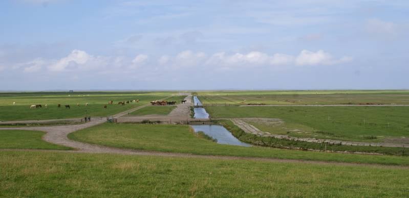 Noorderleeg