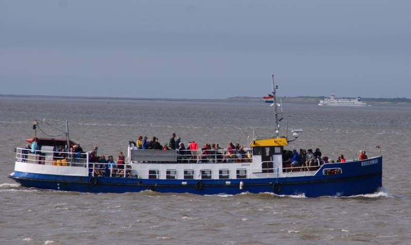 DSC09948.jpg