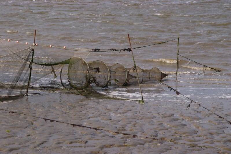 DSC09954.jpg
