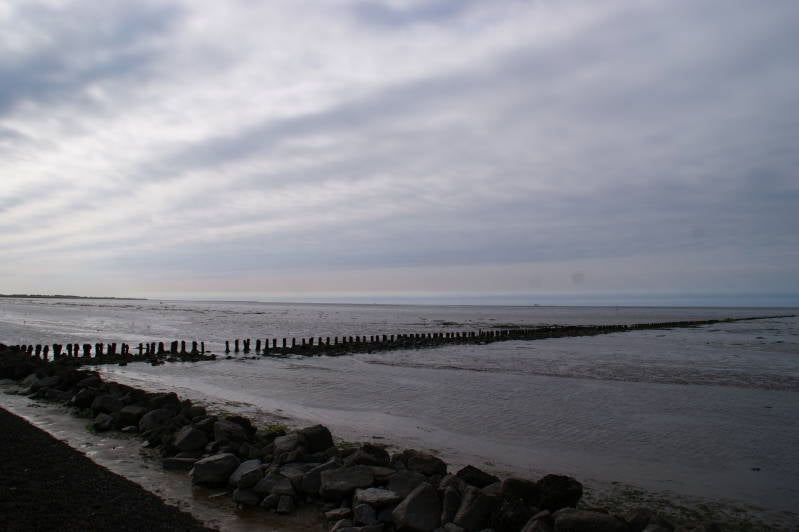 DSC09962.jpg