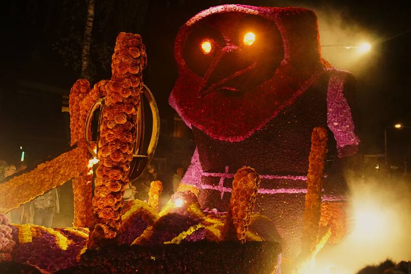 dsc00293-standard-hxxs0u.jpg