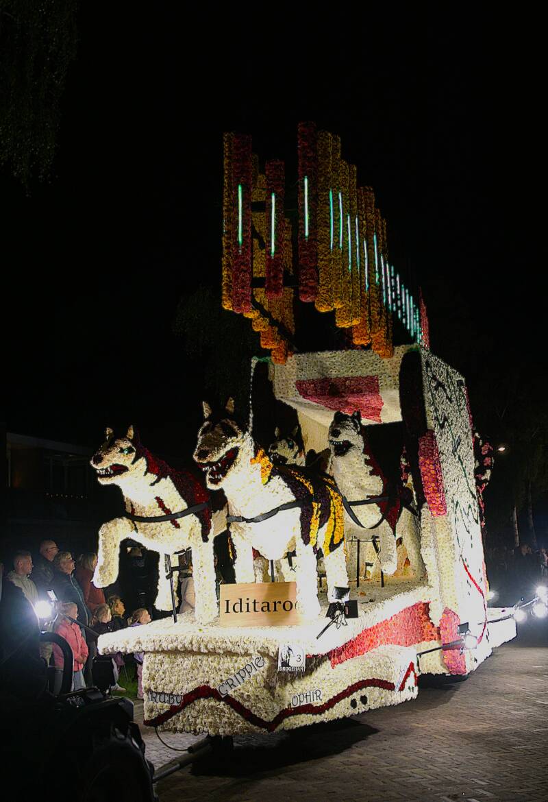dsc00301-standard.jpg