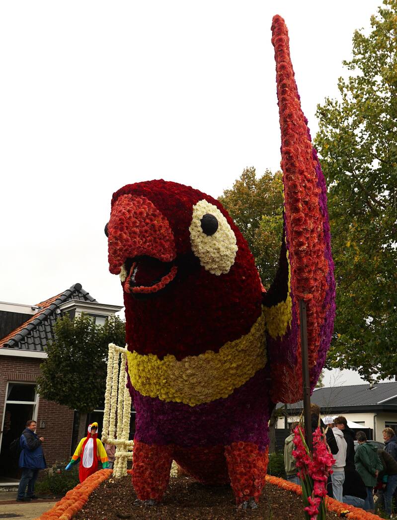 dsc00597-standard.jpg