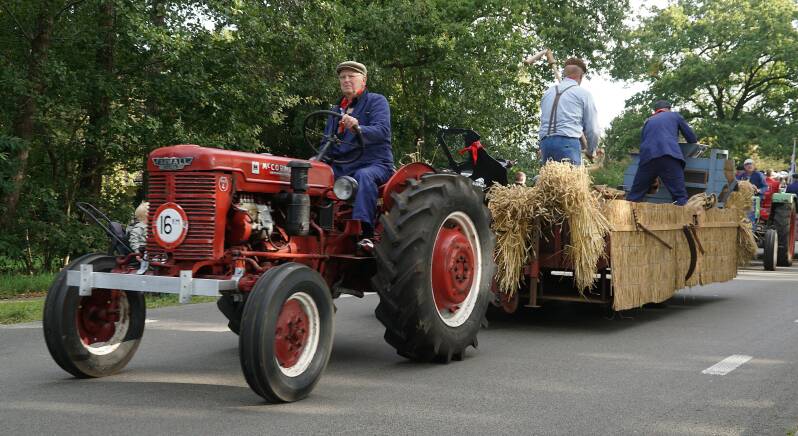 dsc01387-standard.jpg