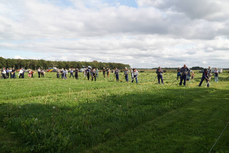 dsc01679-standard.jpg