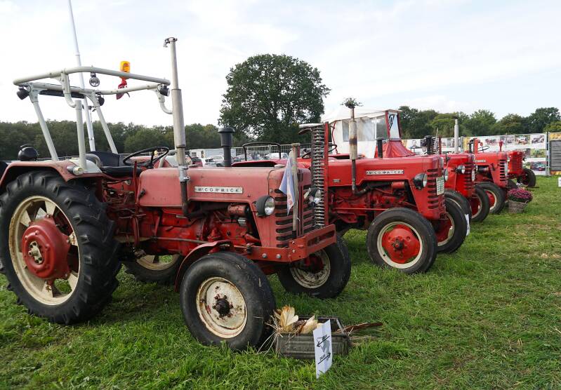 dsc01716-standard-x3eqoc.jpg